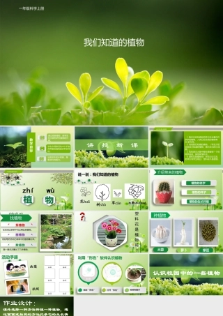 一年级科学上册 第1单元 植物 1《我们知道的植物》课件 教科版-教科级上册自然科学课件