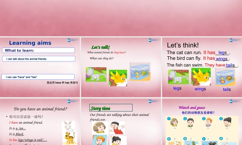 五年级英语上册 Unit3 Our animal friends课件3 译林版