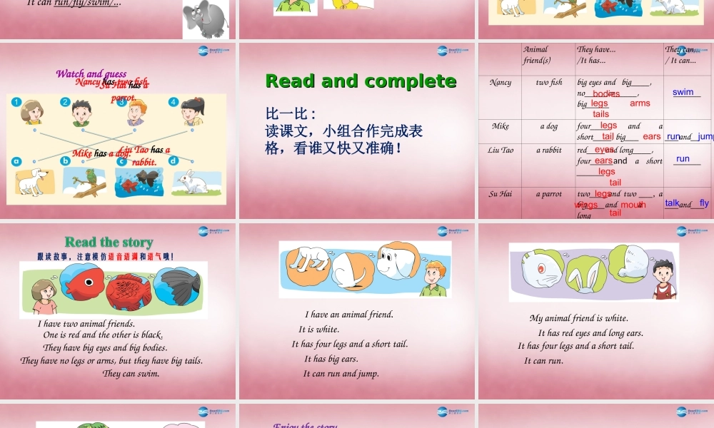 五年级英语上册 Unit3 Our animal friends课件3 译林版