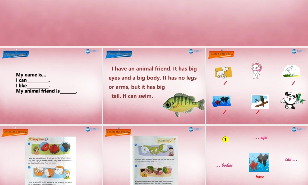 五年级英语上册 Unit3 Our animal friends课件4 译林版