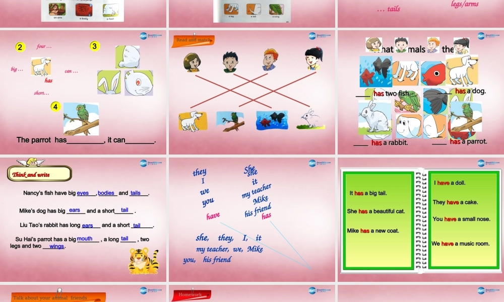 五年级英语上册 Unit3 Our animal friends课件4 译林版