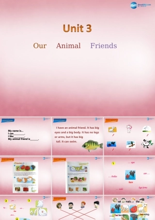 五年级英语上册 Unit3 Our animal friends课件4 译林版