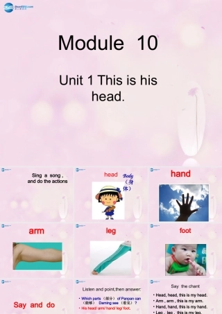 2014秋三年级英语上册 Module 10 Unit 1 This is his head课件2 外研版（一起）