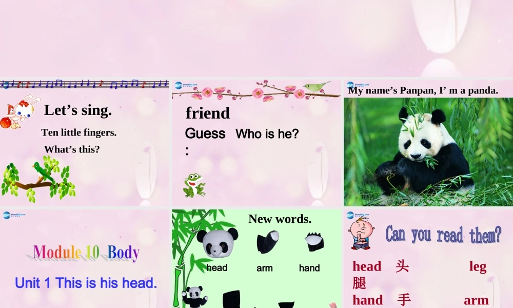 2014秋三年级英语上册 Module 10 Unit 1 This is his head课件3 外研版（一起）