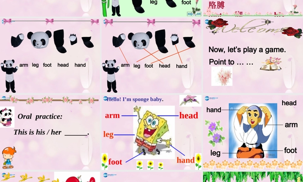 2014秋三年级英语上册 Module 10 Unit 1 This is his head课件3 外研版（一起）