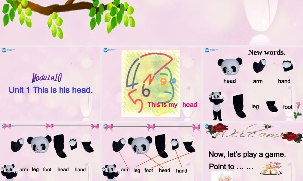 2014秋三年级英语上册 Module 10 Unit 1 This is his head课件4 外研版（一起）