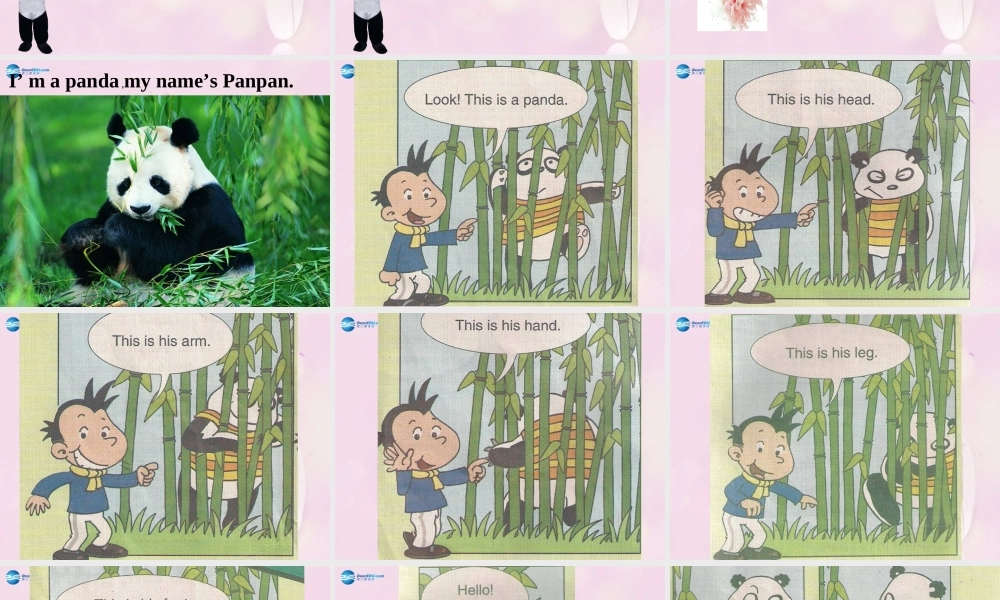 2014秋三年级英语上册 Module 10 Unit 1 This is his head课件4 外研版（一起）