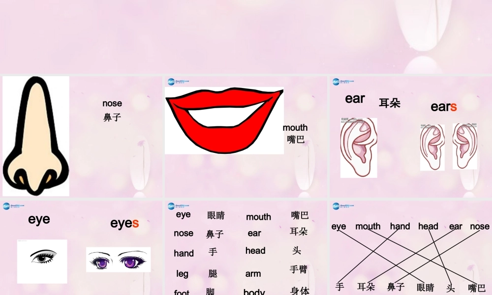 2014秋三年级英语上册 Module 10 Unit 2 Point to her nose课件3 外研版（一起）