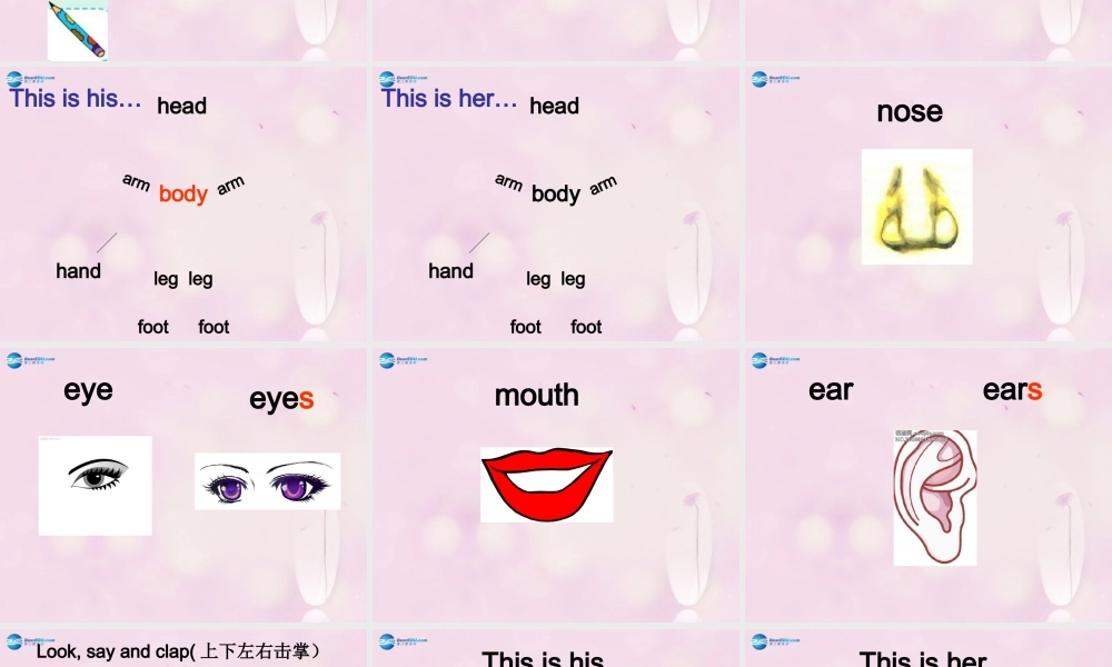 2014秋三年级英语上册 Module 10 Unit 2 Point to her nose课件4 外研版（一起）
