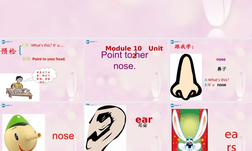 2014秋三年级英语上册 Module 10 Unit 2 Point to her nose课件5 外研版（一起）