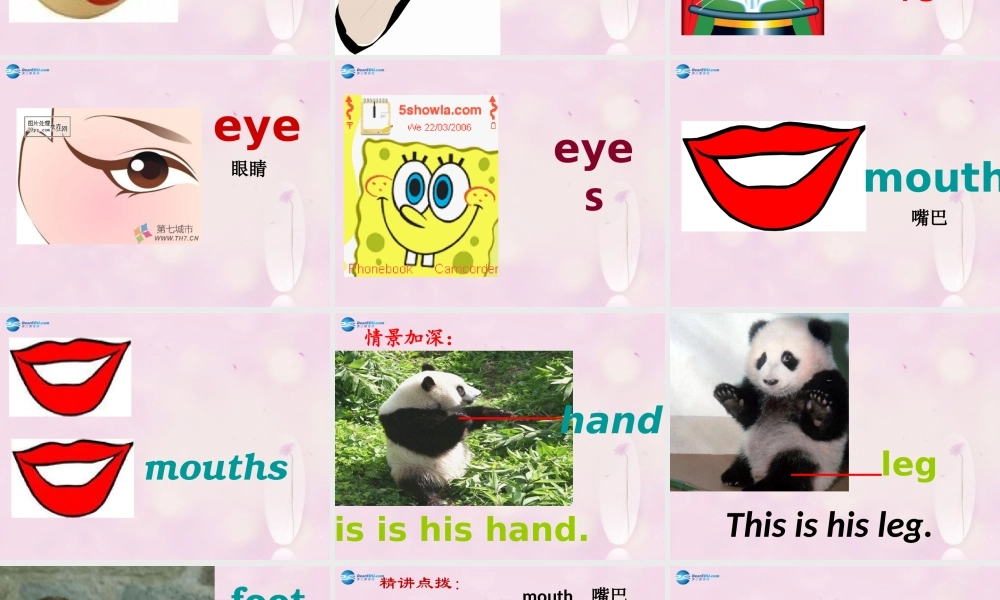 2014秋三年级英语上册 Module 10 Unit 2 Point to her nose课件5 外研版（一起）