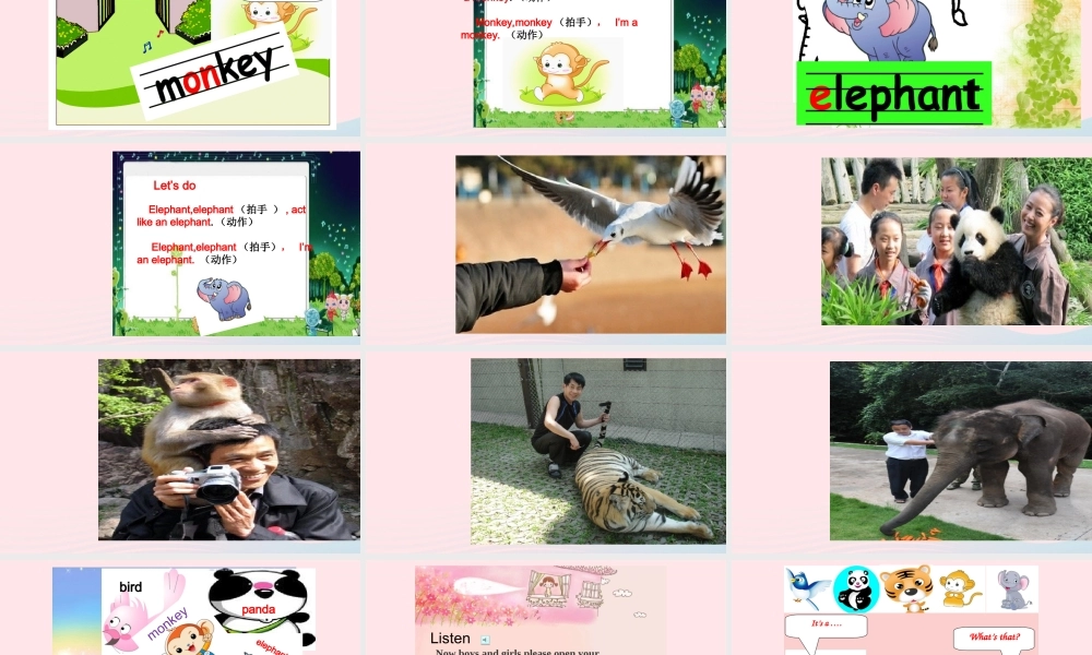 2019秋三年级英语上册 Unit 4 We love animals B Let's learn教学课件（附教学思路） 人教PEP版