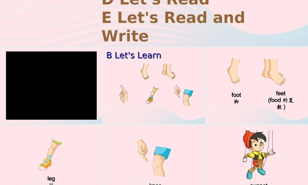 2020春四年级英语下册 Unit 10 He has two feet课件+素材 湘少版