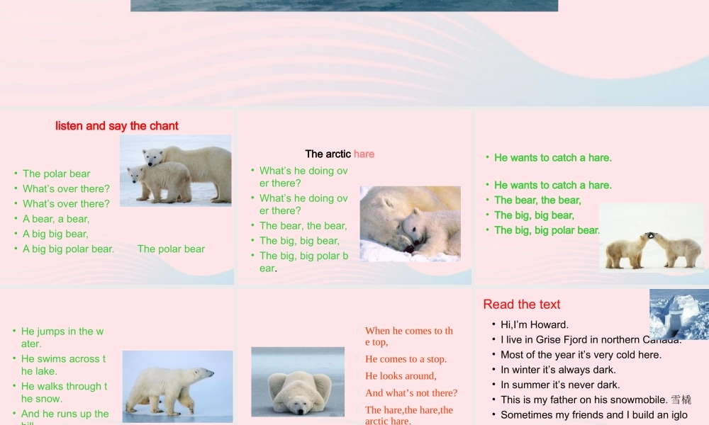 2020春五年级英语下册 Unit 2 Life in the Arctic课件1 剑桥版