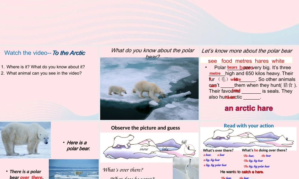 2020春五年级英语下册 Unit 2 Life in the Arctic课件3 剑桥版