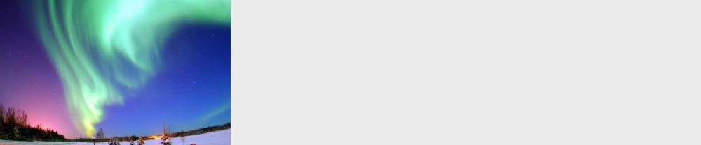 2020春五年级英语下册 Unit 2 Life in the Arctic课件3 剑桥版