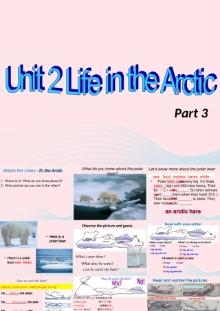 2020春五年级英语下册 Unit 2 Life in the Arctic课件3 剑桥版