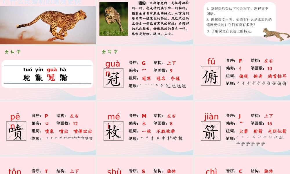 2019秋五年级语文上册 第二单元 7《什么比猎豹的速度更快》课件