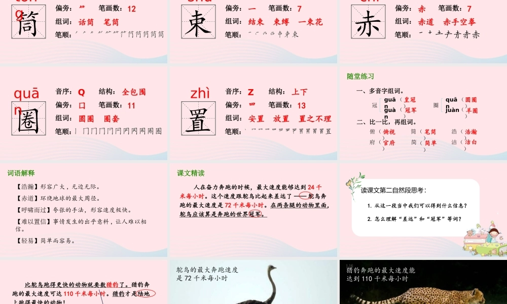 2019秋五年级语文上册 第二单元 7《什么比猎豹的速度更快》课件