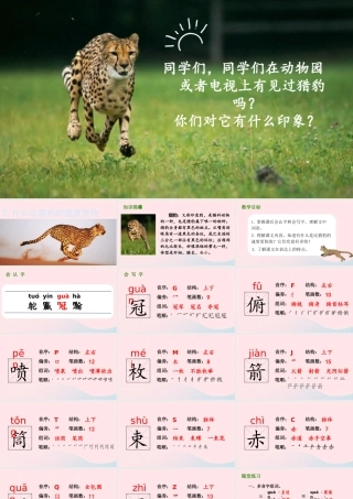 2019秋五年级语文上册 第二单元 7《什么比猎豹的速度更快》课件