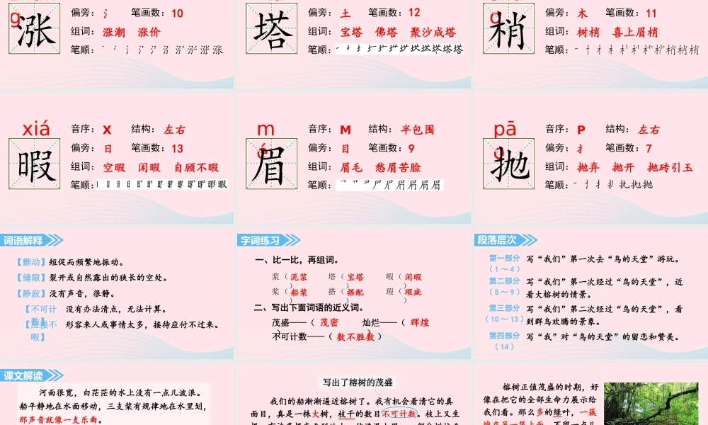 2019秋五年级语文上册 第七单元 23《鸟的天堂》课件