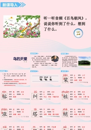 2019秋五年级语文上册 第七单元 23《鸟的天堂》课件