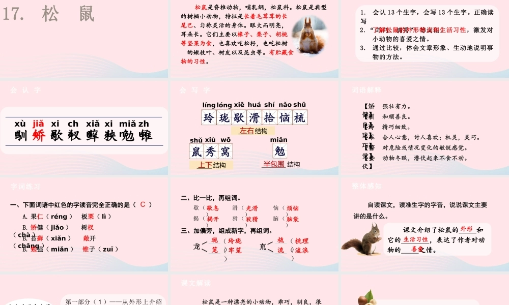 2019秋五年级语文上册 第五单元 17《松鼠》课件