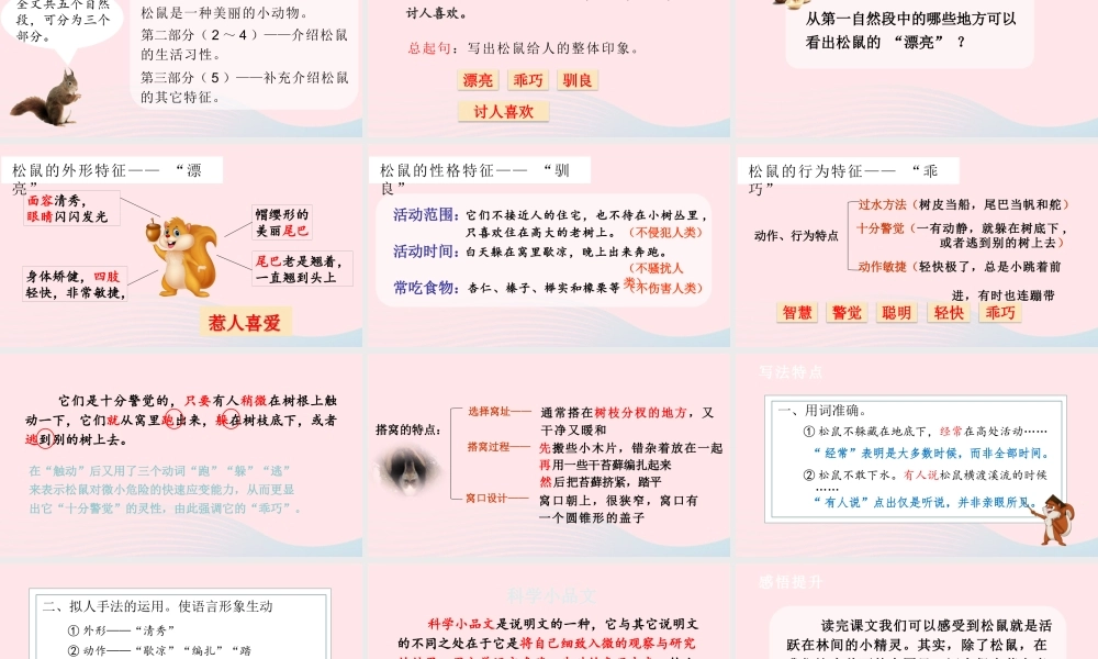 2019秋五年级语文上册 第五单元 17《松鼠》课件
