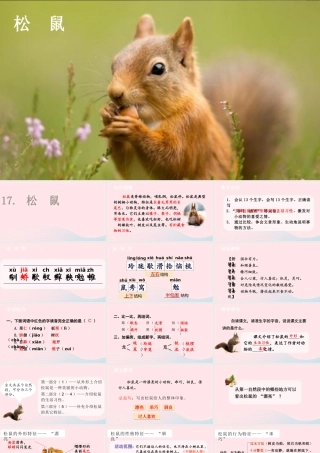 2019秋五年级语文上册 第五单元 17《松鼠》课件