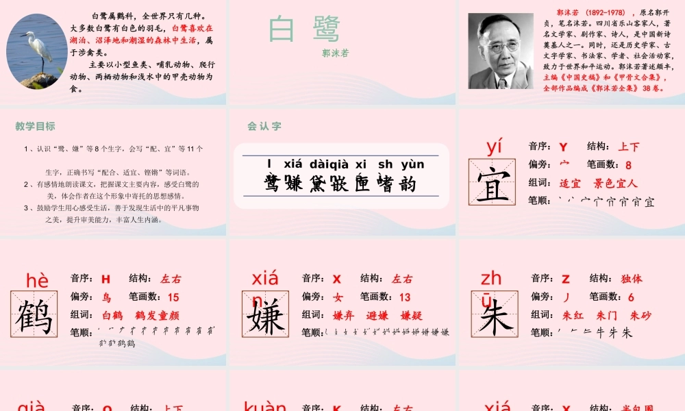 2019秋五年级语文上册 第一单元 1《白鹭》课件
