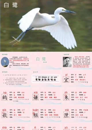 2019秋五年级语文上册 第一单元 1《白鹭》课件