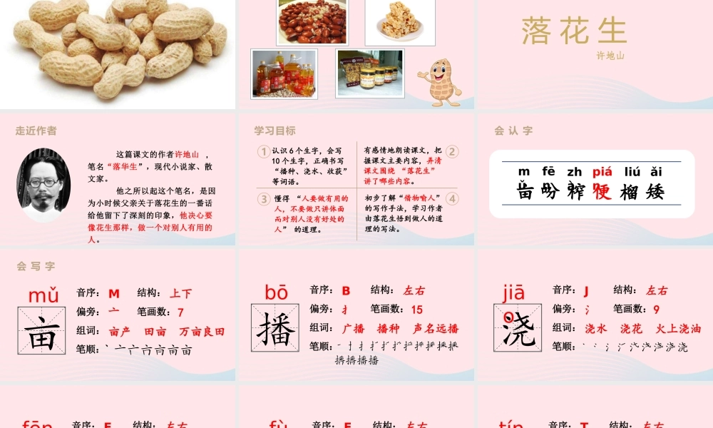 2019秋五年级语文上册 第一单元 2《落花生》课件