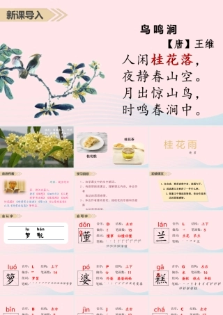 2019秋五年级语文上册 第一单元 3《桂花雨》课件