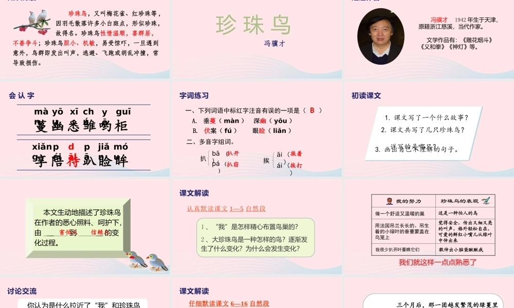 2019秋五年级语文上册 第一单元 4《珍珠鸟》课件