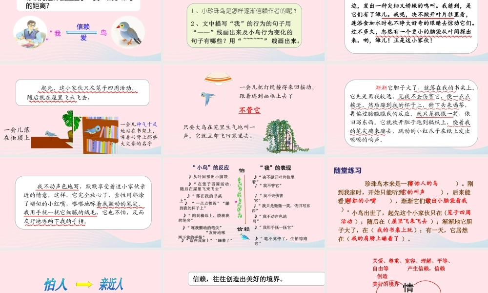 2019秋五年级语文上册 第一单元 4《珍珠鸟》课件