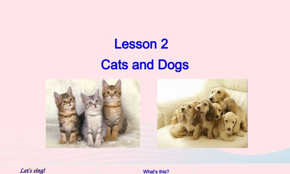 2020春三年级英语下册 Unit 1 Animals on the farm Lesson 2 Cats and Dogs课件+素材 冀教版（三起）