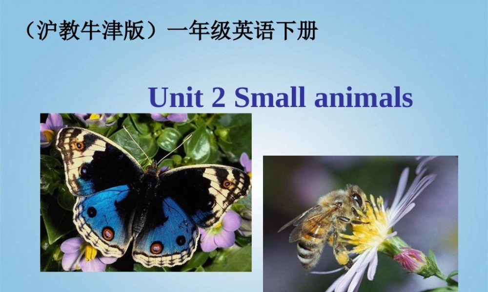 一年级英语下册 Unit 2(1)课件 沪教牛津版