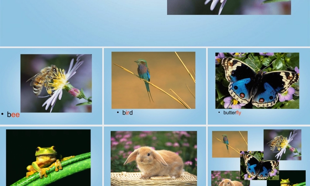 一年级英语下册 Unit 2(1)课件 沪教牛津版