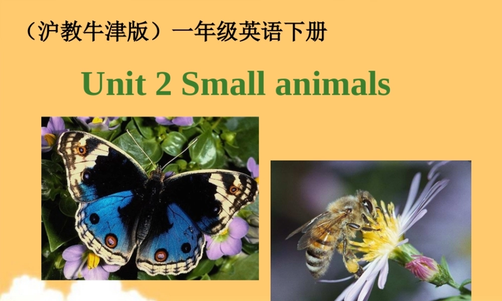 一年级英语下册 Unit 2（6）课件 沪教牛津版