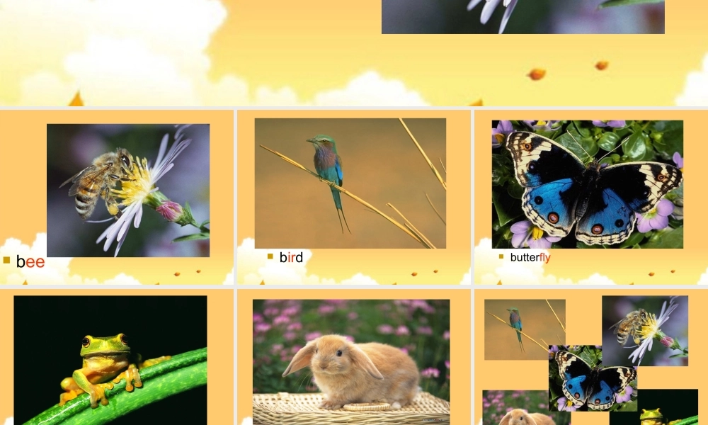 一年级英语下册 Unit 2（6）课件 沪教牛津版