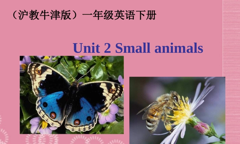 一年级英语下册 Unit 2（8）课件 沪教牛津版