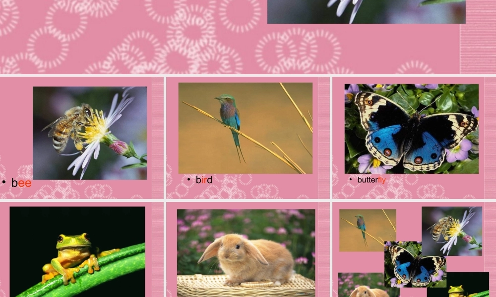 一年级英语下册 Unit 2（8）课件 沪教牛津版