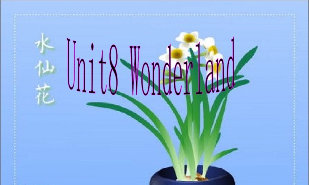 一年级英语下册 Unit8 wonderland 新世纪版