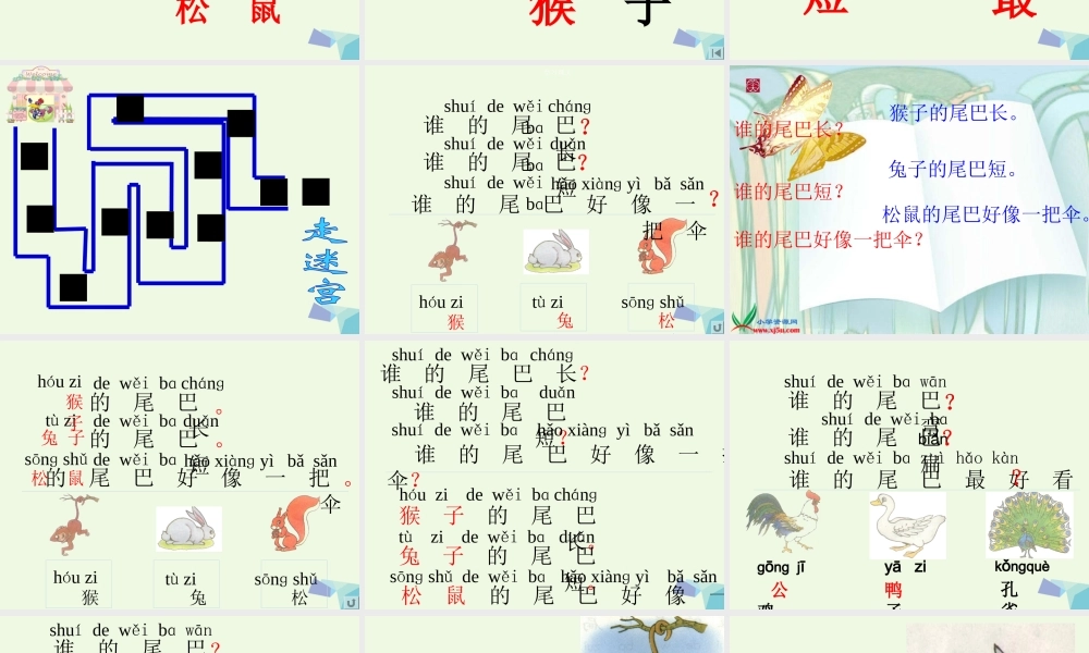 一年级语文上册 比尾巴课件1 鲁教版-鲁教版小学一年级上册语文课件