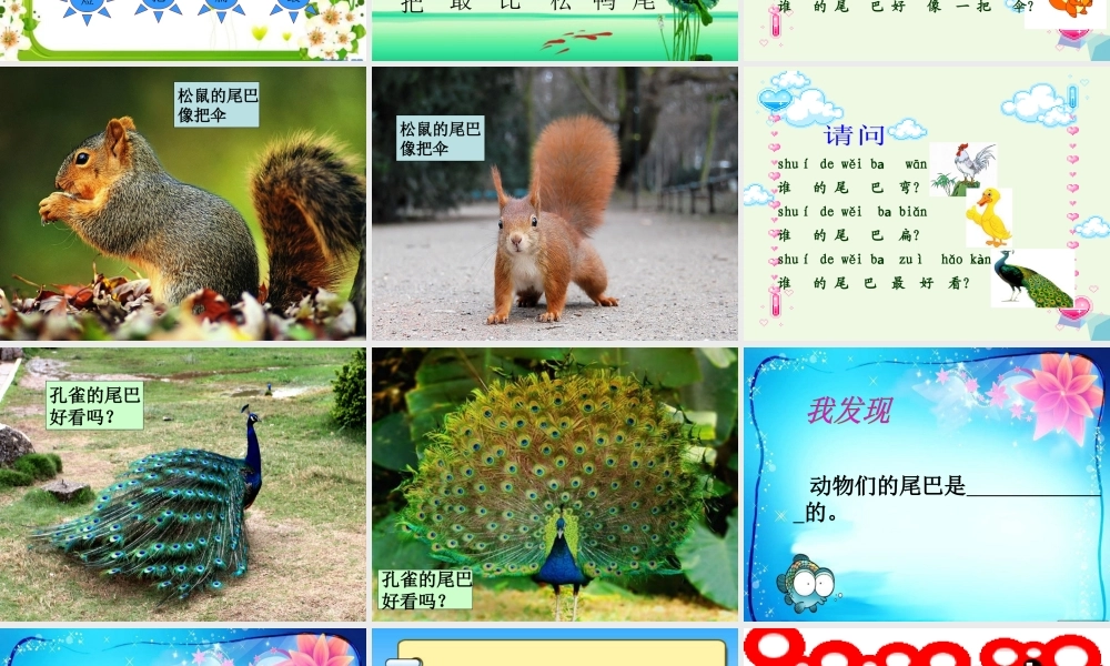 一年级语文上册 比尾巴课件2 鲁教版-鲁教版小学一年级上册语文课件