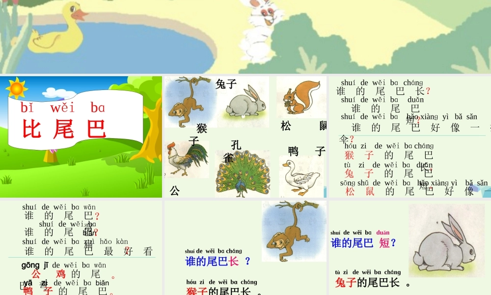 一年级语文上册 比尾巴课件3 鲁教版-鲁教版小学一年级上册语文课件