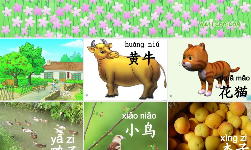 一年级语文上册 比一比课件1 鲁教版-鲁教版小学一年级上册语文课件