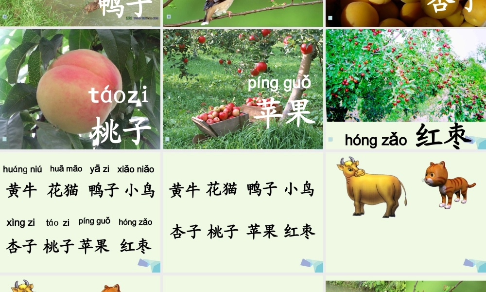 一年级语文上册 比一比课件1 鲁教版-鲁教版小学一年级上册语文课件