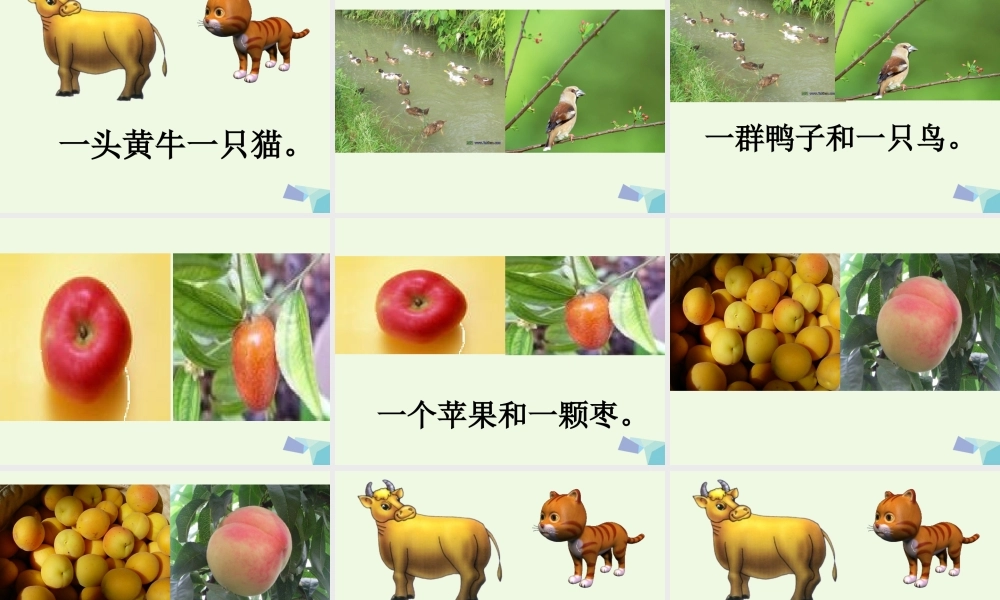 一年级语文上册 比一比课件1 鲁教版-鲁教版小学一年级上册语文课件