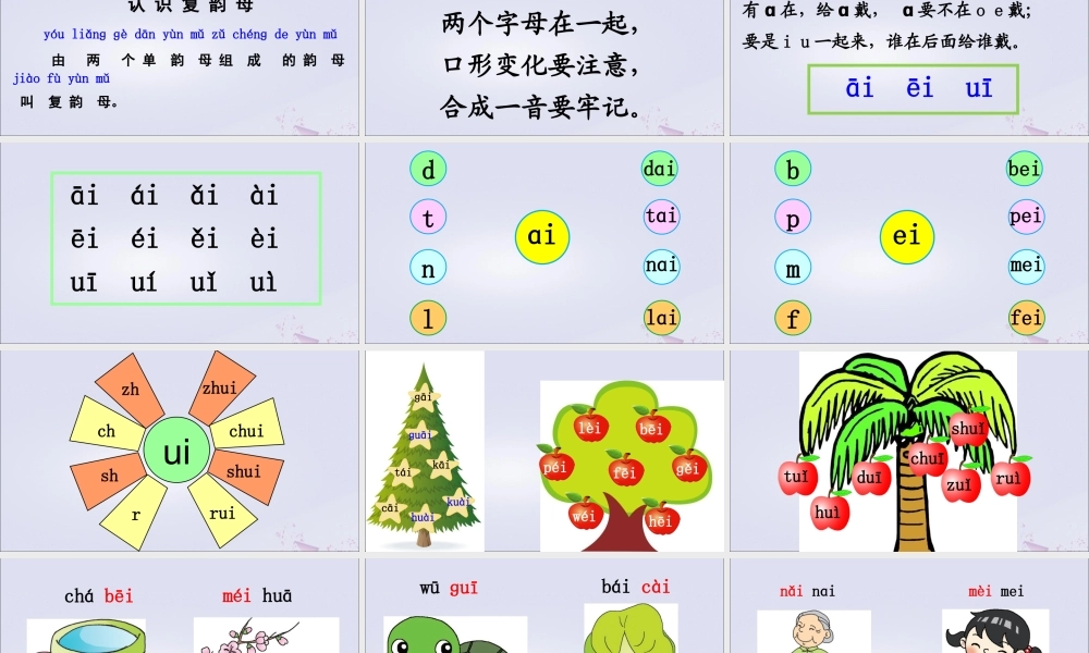 一年级语文上册 汉语拼音 9 ɑi ei ui课件 新人教版